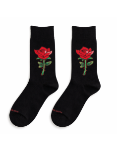 NIT DE ROSES | Pocasoltes